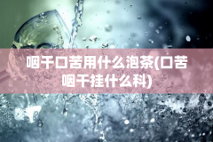 咽干口苦用什么泡茶(口苦咽干挂什么科)