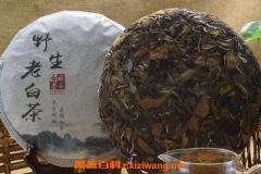 如何保存白茶饼(福鼎白茶饼如何保存最好)