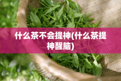什么茶不会提神(什么茶提神醒脑)