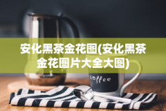 安化黑茶金花图(安化黑茶金花图片大全大图)