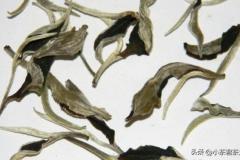 云南月光白茶有保存价值吗(云南月光白茶能长期保存吗)