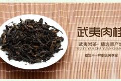 武夷肉桂茶的功效(武夷肉桂茶的功效和作用)