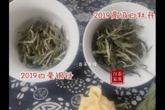 白毫是白茶吗(白茶银针白毫)