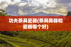 功夫茶具瓷器(茶具陶器和瓷器哪个好)