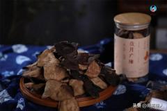 新会陈皮怎么分好坏(新会陈皮怎样泡水喝)