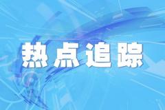 新茶价格多少(白毫银针新茶价格)