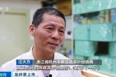 西湖龙井陈茶销售(西湖龙井新茶和陈茶的区别)