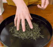 几月份采茶叶(几月份的茶叶好)