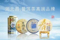 润元昌12年创业版普洱茶  润元昌普洱茶属于高档茶吗