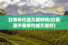 白茶年代越久越好吗(白茶是不是年代越久越好)