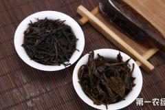 绿茶为什么可以去烟味