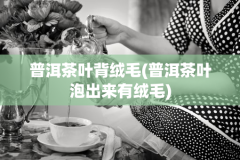 普洱茶叶背绒毛(普洱茶叶泡出来有绒毛)