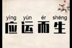 应运而生的意思是什么